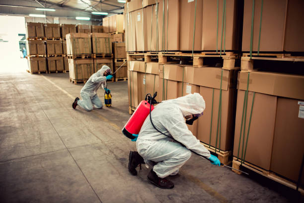 Best Local Pest Control Services  in Schuyler, NE