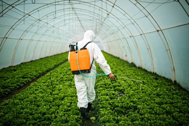 Best Pest Prevention Services  in Schuyler, NE