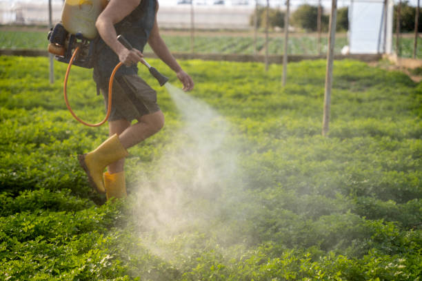 Best Residential Pest Control  in Schuyler, NE