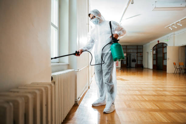 Best Flea Control Services  in Schuyler, NE